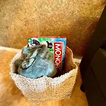 Le Bleu - Cures Thermales, Pelerinage Lourdes Appartement